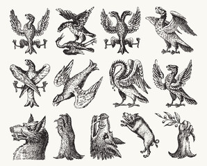 Set of Hand Drawn Heraldry Animals - Various Birds, Eagles, Wild Boars, and Wildlife
