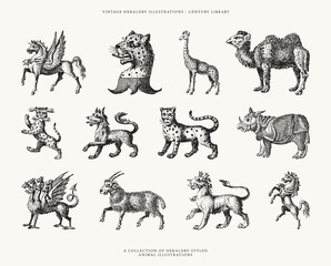 Set of Heraldic Wildlife Illustrations - Tiger, Wolf, Dragon, Unicorn, Camel, Rhino, Horse, Cheetah, and more!
