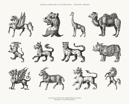 Set of Heraldic Wildlife Illustrations - Tiger, Wolf, Dragon, Unicorn, Camel, Rhino, Horse, Cheetah, and more!
