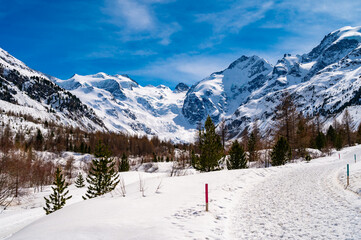 Naklejka premium A close-up view of the Morteratsch glacier in winter, Engadin, Switzerland. 