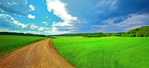 Farmland, road and trees with grass in environment for conservation, travel or roadtrip and...