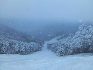 Narrow snowy road surrounded by trees in Killington Ski Resort, Vermont, New England, Canada