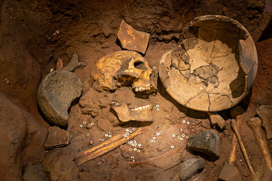 Nairobi National Museum" Images – Browse 7 Stock Photos, Vectors, and Video | Adobe Stock