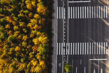 Aerial view of an empty traffic road and a forest with autumn trees