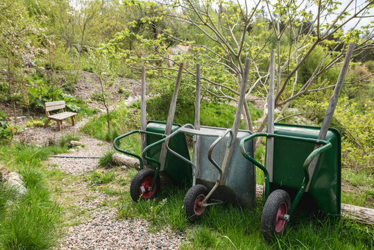 Wheelbarrows arranged on grass in park