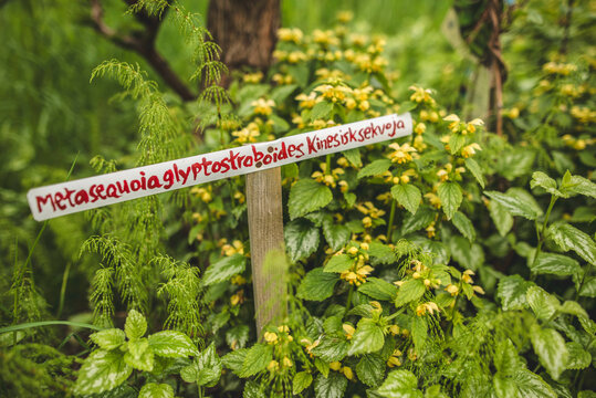 Signboard amidst green plants in park