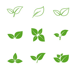 Leaf. Leaf vector icon. Green Leaves. Ecology. Leaves green logotype. Leafs green color