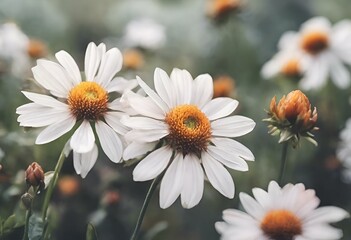 Fototapeta premium AI generated illustration of a field full of blooming white and orange flowers