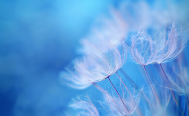 Dreamy Dandelion: A Close-Up Portrait with Soft Focus Background	
