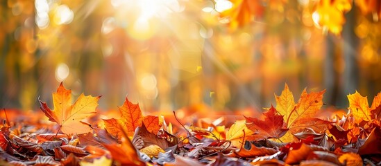 Naklejka na ściany i meble Defocused colorful bright autumn ultra wide panoramic, Ai generate 