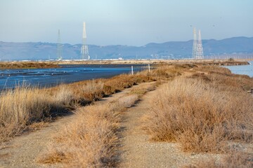 Autumn grass landscape near the shoreline lake in California and electricity towers in background