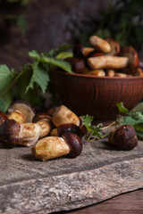 Pile of Imleria Badia or Boletus badius mushrooms commonly known as the bay bolete on vintage wooden background..