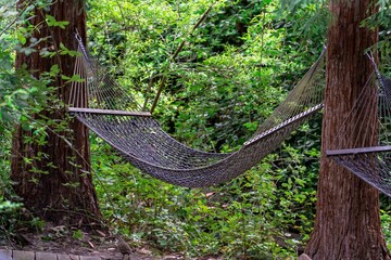 Large rope hammock hanging on trees in a park