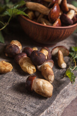 Pile of Imleria Badia or Boletus badius mushrooms commonly known as the bay bolete on vintage wooden background..