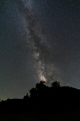 Vertical shot of a starry sky over the hills and trees.