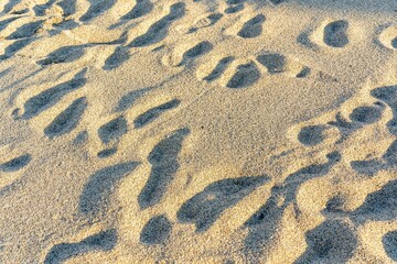 Fototapeta na wymiar High angle shot of tracks left in the sand on a beach