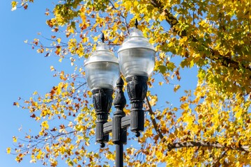 Low angle shot of an old street light in an autumn park
