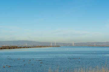 Beautiful view of ducks floating in the river under a blue sky