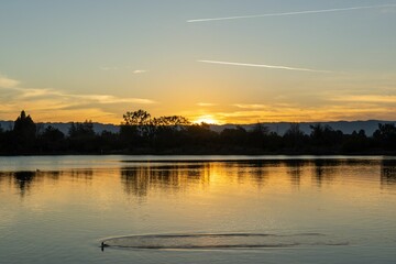 Beautiful view of a duck floating in the river at scenic sunset