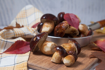 Several Imleria Badia or Boletus badius mushrooms commonly known as the bay bolete and vintage pan with mushrooms on wooden cutting board..