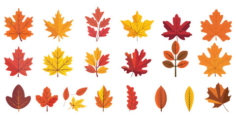 Fototapeta premium A set of autumn leaves in the style of flat design isolated on a white background
