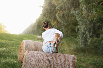 a young whippet dog and a woman wearing jeans sitting on a hay bale in the summer facing away from the camera