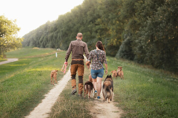 a couple holding hands walking away from the camera on a path surrounded by many dogs