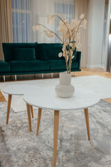 Interior Living room in apartment