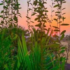 Fototapeta na wymiar Colourful Sunset on a Cambodian landscape