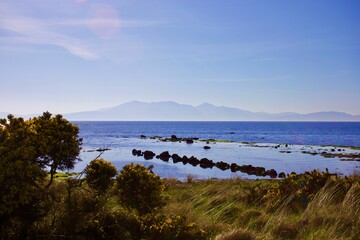 Landscape a field on the background of the sea