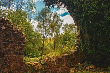 Beautiful view of an old brick wall in the fairytale garden in Scotland.