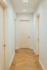 Entrance door in apartment  in modern interior