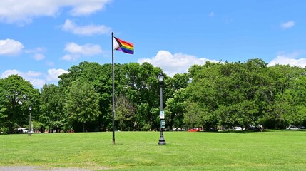 Beautiful view of a Progress Pride flag in a park on a sunny day