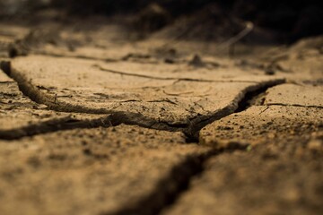 Closeup of a muddy ground