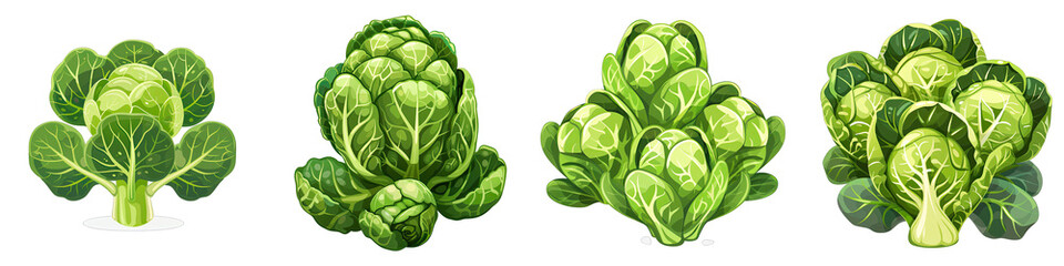 Brussels Sprouts  2d Icon In Water Colour Hyperrealistic Highly Detailed Isolated On Transparent Background Png - obrazy, fototapety, plakaty