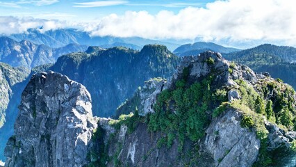 Aerial view of a beautiful forest near the mountains in Vancouver, Canada