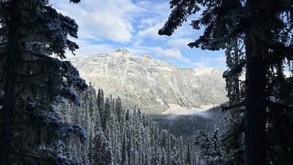Snow-covered trees and mountains in Joffre Lakes Provincial Park, British Columbia, Canada