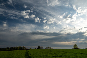 Obraz premium Summer landscape of a field with clouds on a sunny day