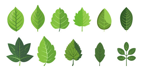 Naklejka premium set illustration of green leaf icon isolated on white background