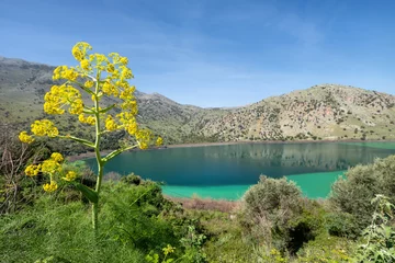Fotobehang Lake Kournas (Lac Kourna) on Crete island with yellow flower on foreground, Greece © bbsferrari