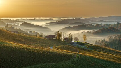 Mist covering scenic meadows of South Styrian Wine Road, Austria