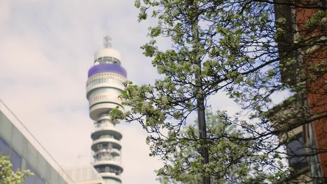 BT tower in London with tree foliage in the foreground
