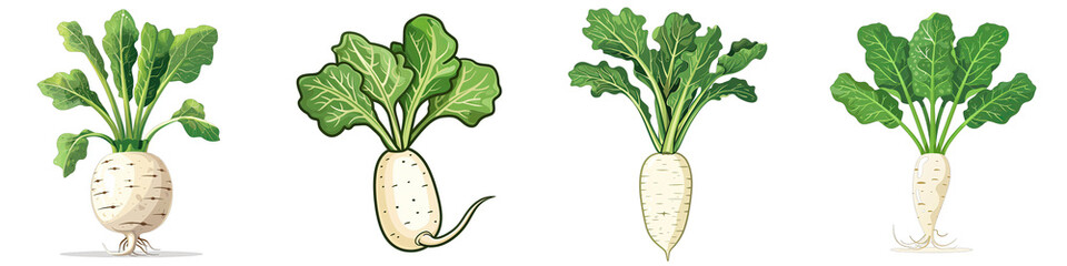Daikon Radish  2d Icon In Water Colour Hyperrealistic Highly Detailed Isolated On Transparent Background Png - obrazy, fototapety, plakaty