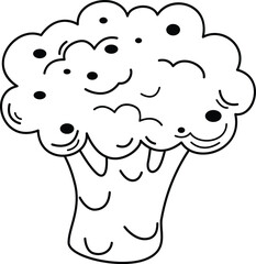 illustration of broccoli outline white on background vector