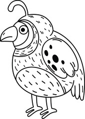 Hand drawn quail character illustration, vector
