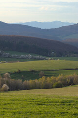 meadows, forests and trees under a blue sky