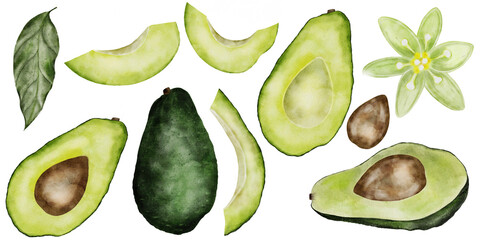 Avocado watercolor big set. Isolated hand drawn drawings of fruit parts, leaves and flowers. Clip art of ripe fruit on a white background. Ideal for menu design, vegetarian recipe books and fresh food