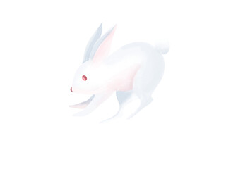 Chinese zodiac - rabbit