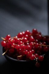 Full bowl of red currant on dark background, close-up