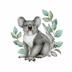 Cute koala with eucalyptus leaf decor. Watercolor illustration. Hand painted wildlife Australian native animal. Grey koala bear with eucalyptus floral decoration element. White background © anitapol